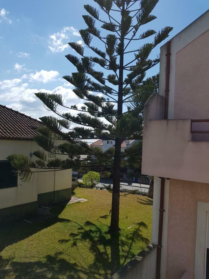 Mikes Beach Apartment 托雷拉 外观 照片